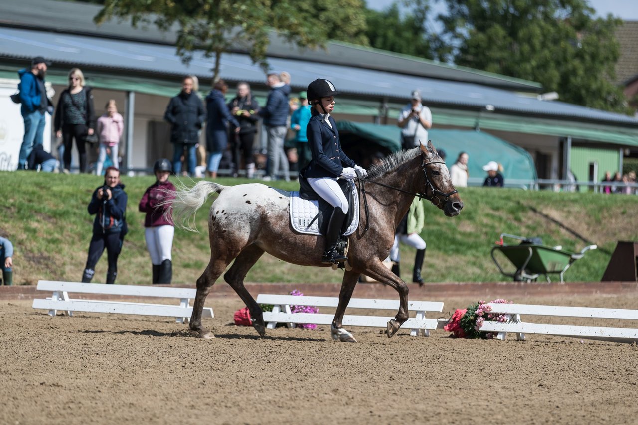 Bild 679 - Pony Akademie Turnier